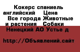 Кокерс спаниель английский  › Цена ­ 4 500 - Все города Животные и растения » Собаки   . Ненецкий АО,Устье д.